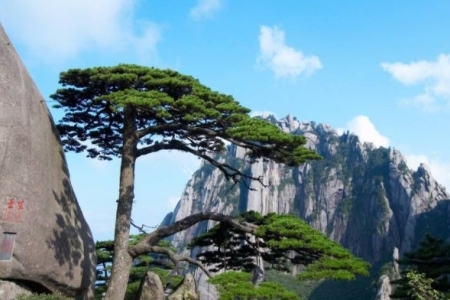 安徽四大名山有哪些