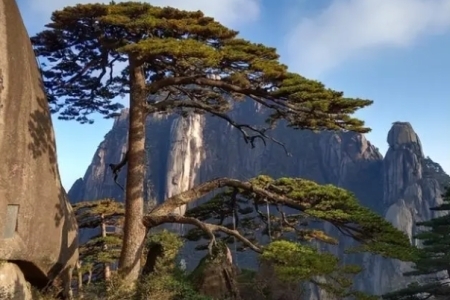 四大名山是哪四个