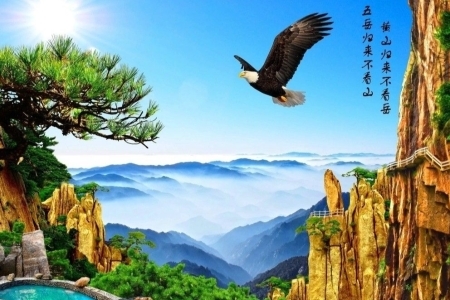 黄山四绝指的是什么