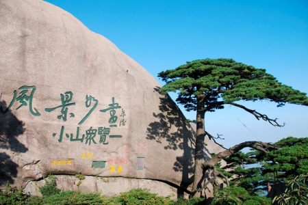 黄山四绝分别是什么