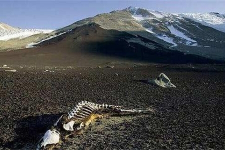 昆仑山为什么叫死亡谷