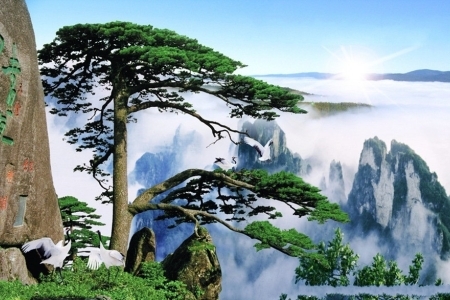 黄山是哪个省的