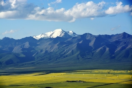 岗什卡雪峰海拔多少米