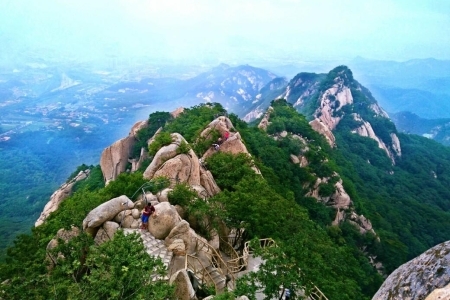 凤凰山为什么叫凤凰山