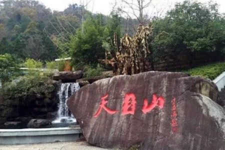 天目山在哪个省哪个城市