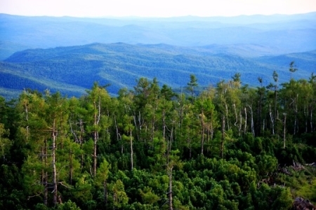 为什么叫大兴安岭小兴安岭