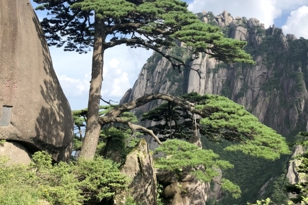 安徽黄山四绝分别是什么