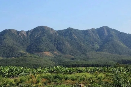 乐东名山有哪些