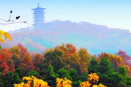 合肥著名山峰有哪些