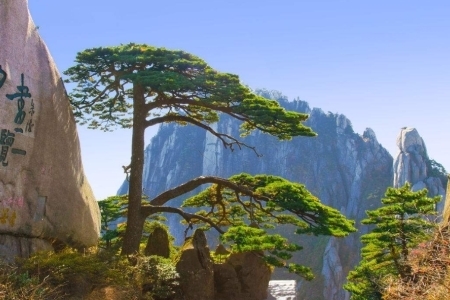 中国的九大名山你知道吗