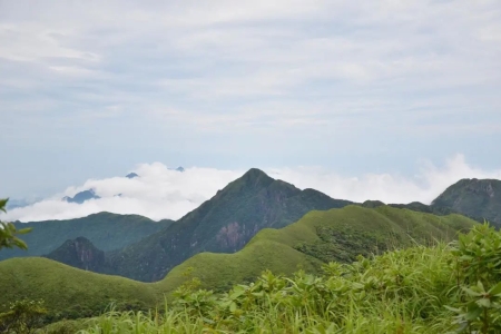 湖南最美山峰有哪些