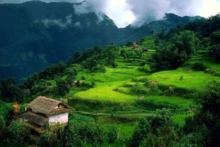 哀牢山为什么叫哀牢山