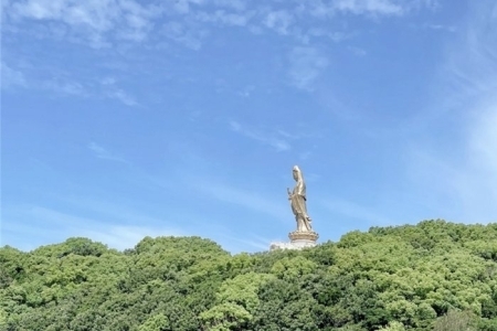 普陀山在浙江哪个城市