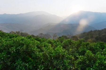 无量山和哀牢山的关系