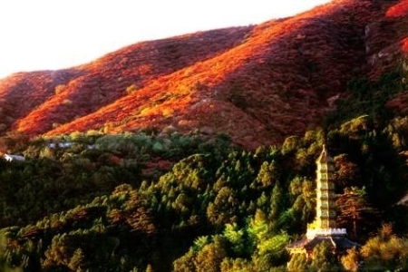 北京香山海拔多少米