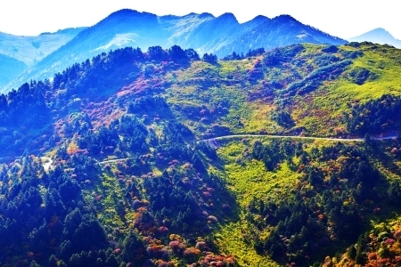 神农架属于十堰吗