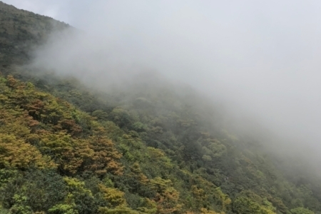 四大佛山分别是指哪四大佛山