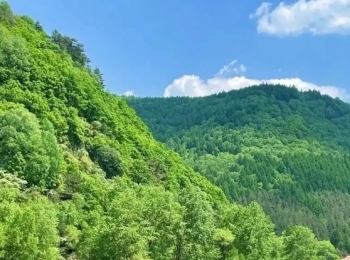 七里峪