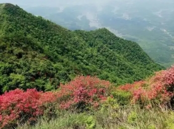 黄兖山