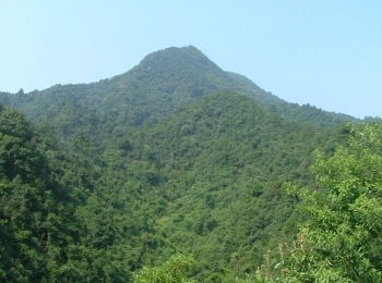 东华山