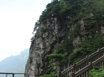 梓童山