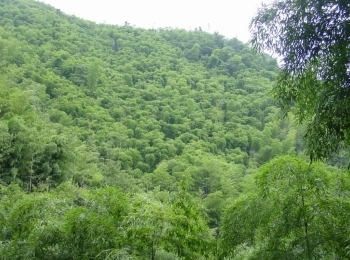 莫干山