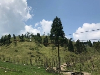 大雷山