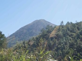 屌罗山