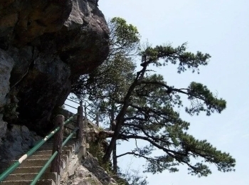 龙泉山