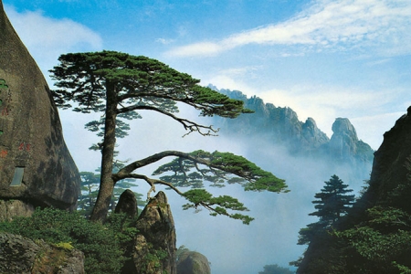 黄山为什么不属于五岳