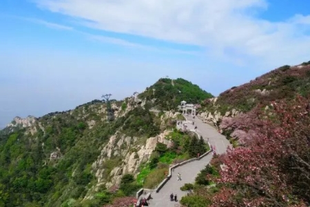 泰山需要几个小时能到山顶