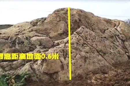 中国最低的山叫什么山