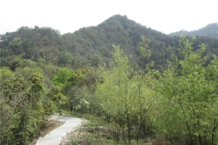 爬山难度排名一览表