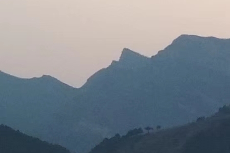 中国禁山为什么被禁