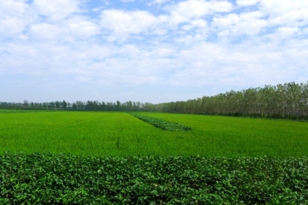 哪个省全是平原没有山