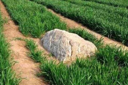 比静山还小的山