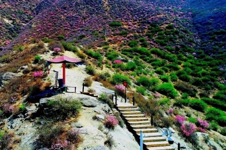 呼和浩特有什么山最出名