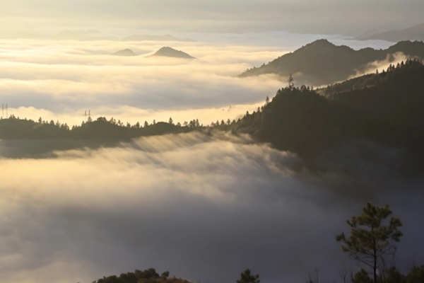 雷公山图片